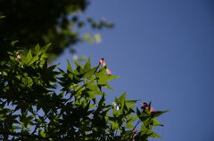 20160508-IMGP1419