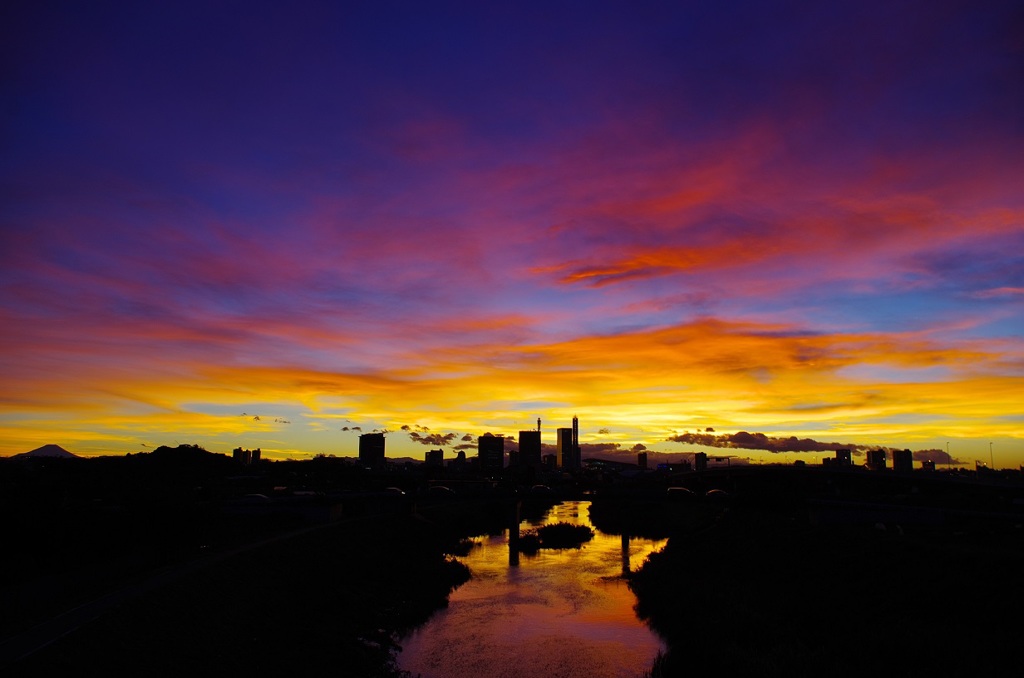 見沼芝川の夕景１