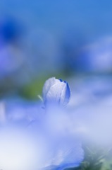 20160417-_IMG0454