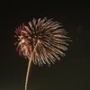 Fireworks　４