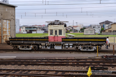 IMGP8135