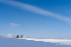 IMGP9428-2