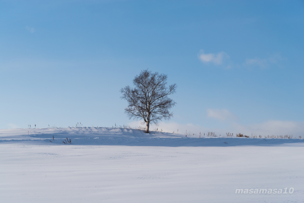IMGP9418-2