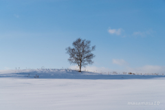 IMGP9418-2
