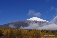 IMGP7331-2
