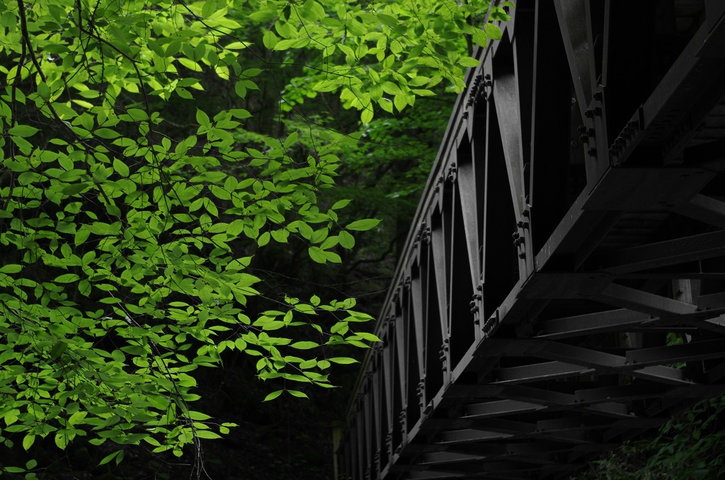 スッカン橋2