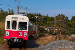 IMGP8036