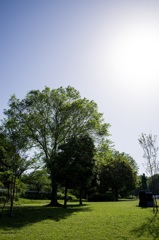 20160508-IMGP1451