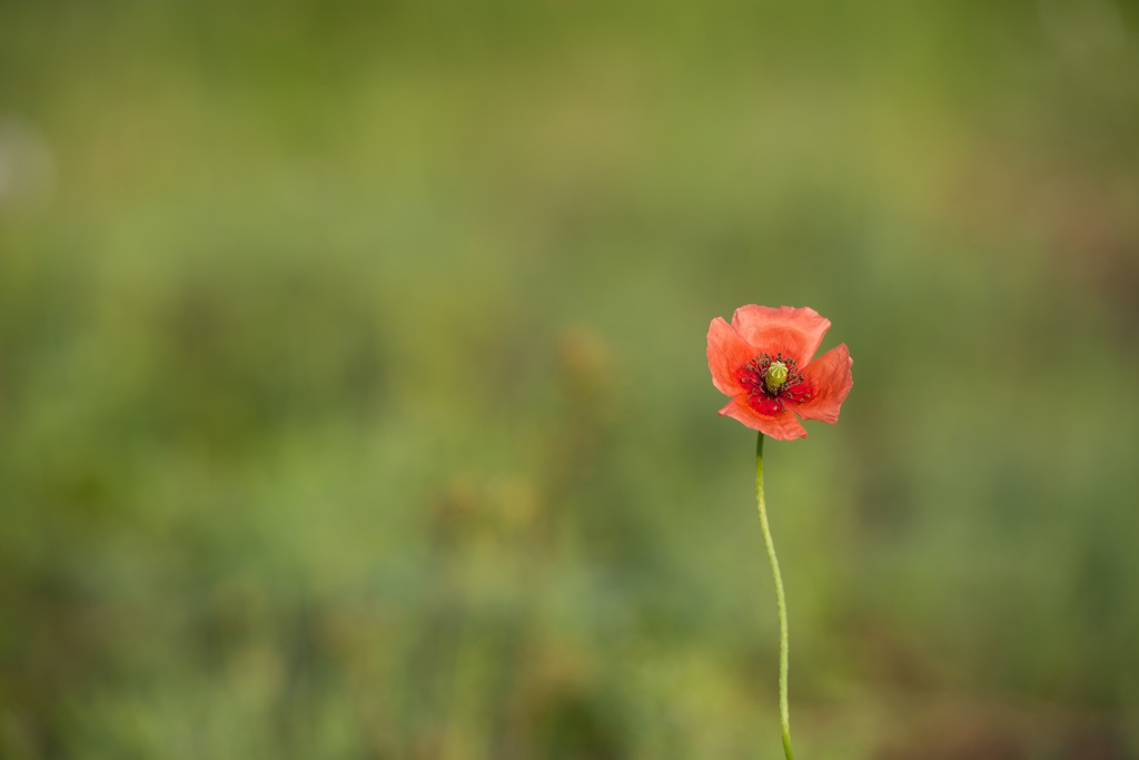 20160501-IMGP0988