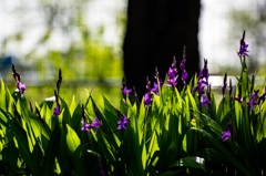 20160417-_IMG0413