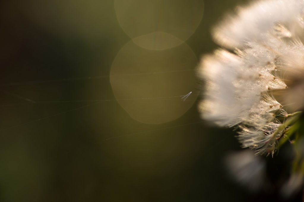 20160501-IMGP0971