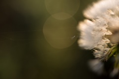 20160501-IMGP0971