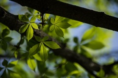 20160424-_IMG0737