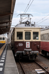 IMGP8085
