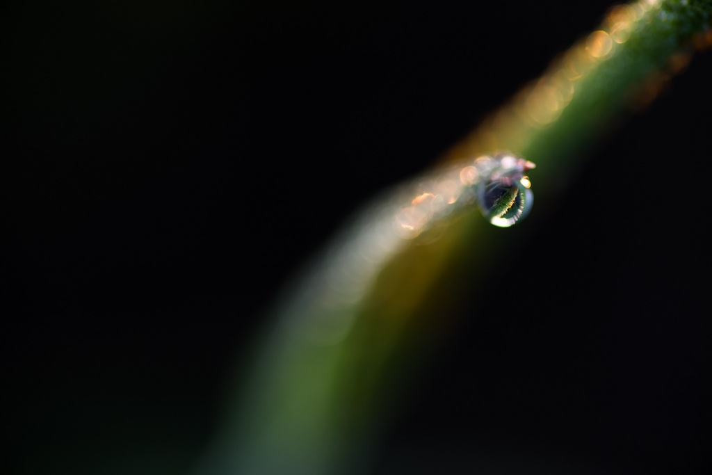 20160501-IMGP0897