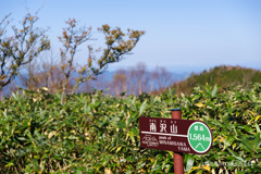 IMGP7124-2