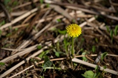 20160508-IMGP1379