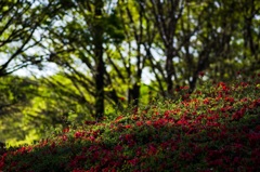 20160417-_IMG0480
