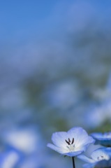20160417-_IMG0443