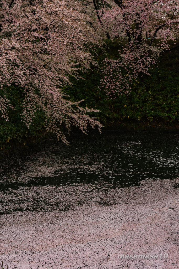 IMGP0816