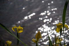 20160508-IMGP1386