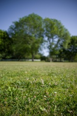20160508-IMGP1445