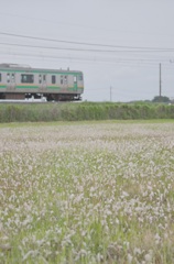 梅雨入り前に