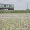 梅雨入り前に