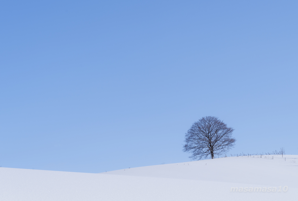 IMGP8998-4