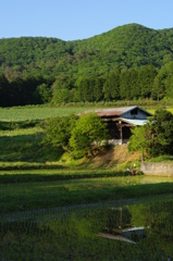 IMGP1212