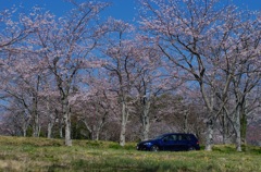 大石寺の駐車場にて