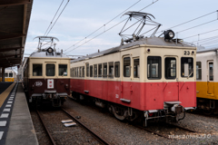 IMGP8083