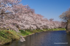 IMGP0073