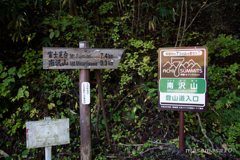 IMGP7265
