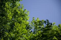 20160508-IMGP1442