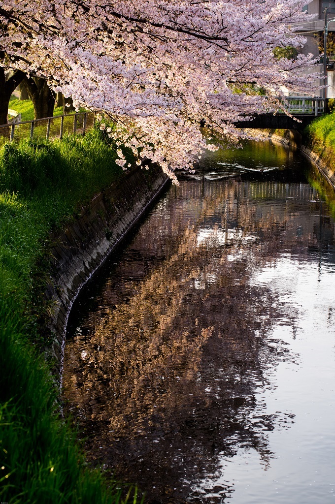 20160409-_IMG0343