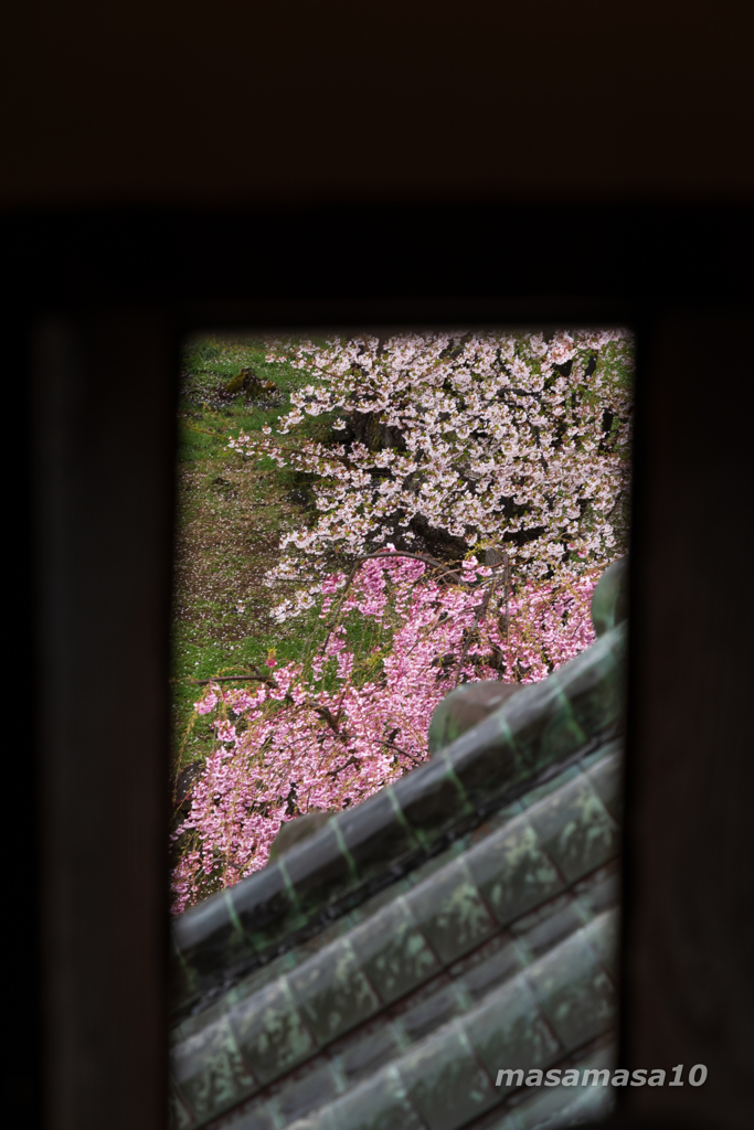 IMGP0897