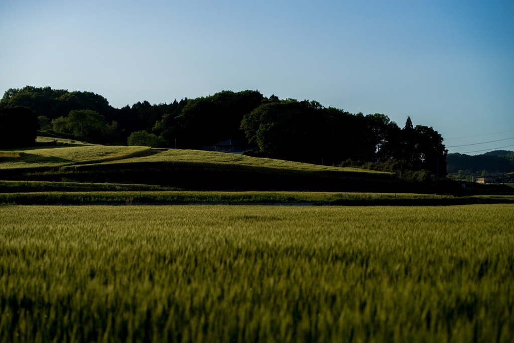 20160505-IMGP1216