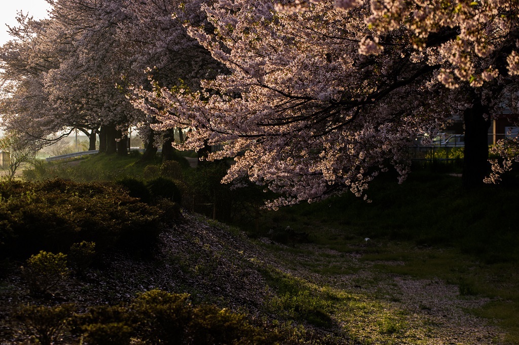 20160409-_IMG0336-2