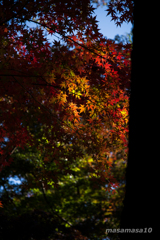 IMGP8326-2