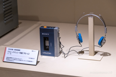 IMGP8555
