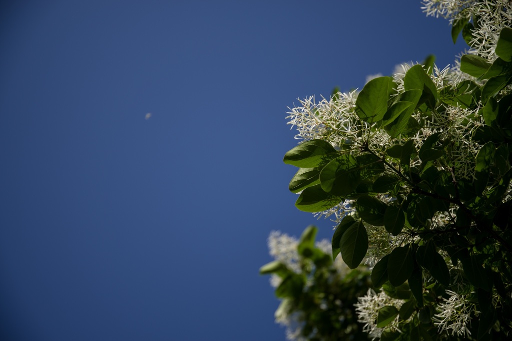 20160508-IMGP1272
