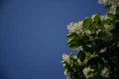 20160508-IMGP1272