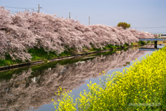 IMGP0413-4