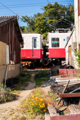 IMGP8009