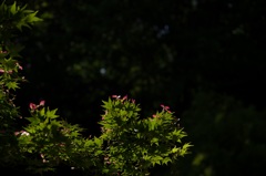 20160508-IMGP1432