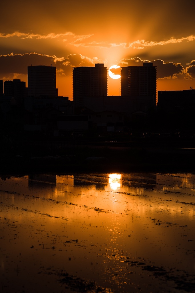 20160504-IMGP1078