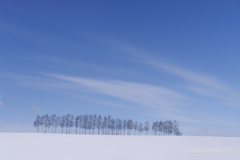 IMGP9441-3