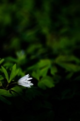 20160326-_IMG0055