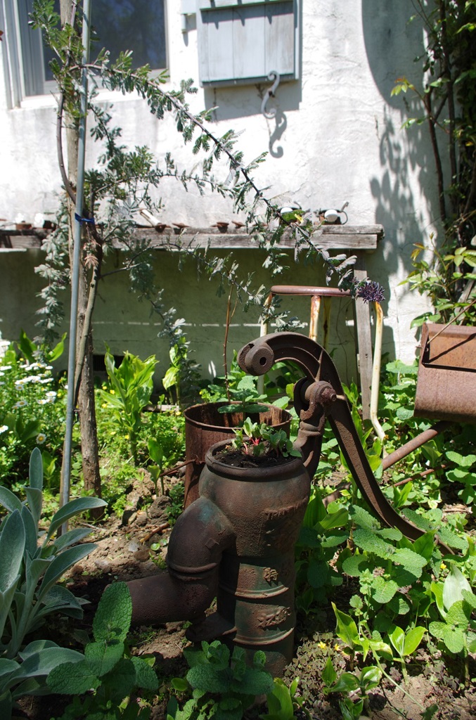 cafe la famille（茨城県結城市）1